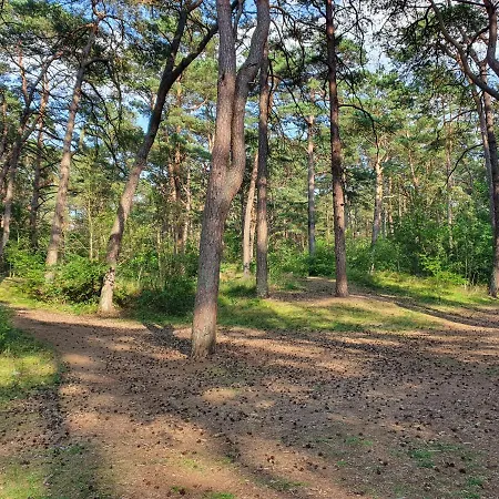 Blisko Plazy Vakantiehuis