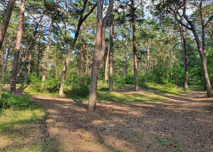 Blisko Plazy Holiday home